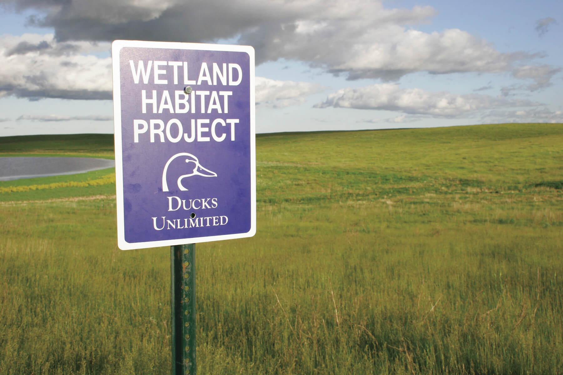 Conservation Area Photo